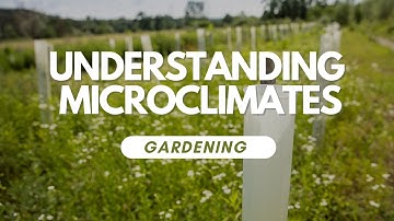 Understanding Microclimates In Your Garden