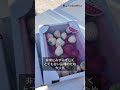 黒いちご！？希少品種も！🍓#nibako #ニバコ #ダイハツ #移動販売車