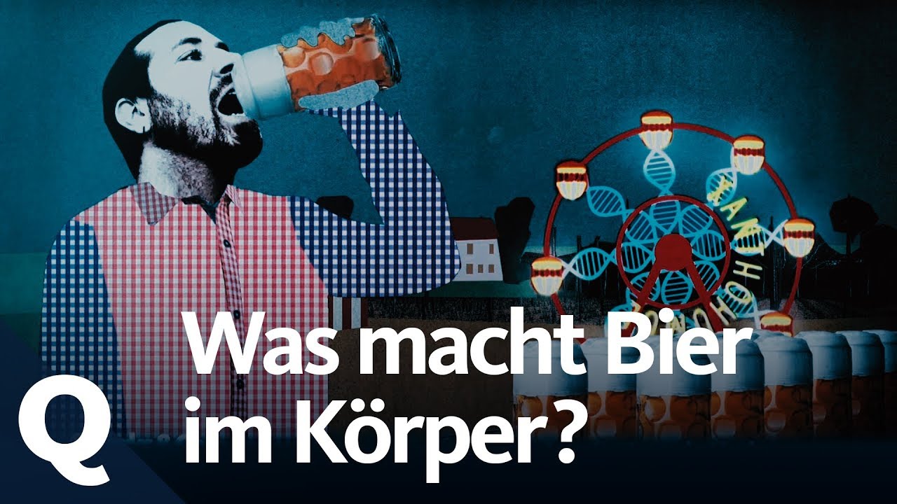 Bier-Mythen auf dem Prüfstand: Was stimmt wirklich?