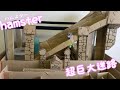 【超超超巨大迷路】で遊ぶ姿が可愛いハムスター”small hamster Play in the Super huge maze"