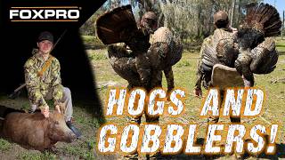 Florida Osceola and Hog Hunt