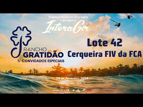 Lote 42   Cerqueira FIV da FCA   FCAG 78