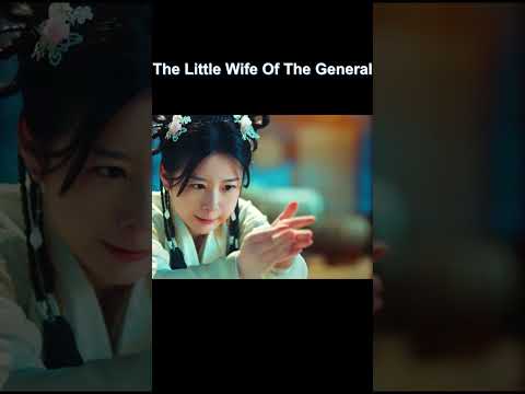 Car accident! Time travel~#将军府来了个小厨娘 #thelittlewifeofthegeneral #shorts