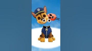 Paw Patrol + Baby Shark Nerd Smash #nerdsmashruntz #nerdsmash #thekoolnerd