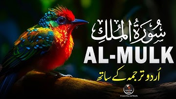 Surah Al-Mulk سورة الملك | Ultimate Relaxing Quran for Emotional Healing & Tranquil #quranforsleep