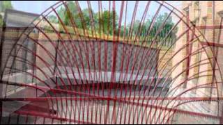 De Smedt Geert, Smeedwerk, Metaalconstructies, Roborst Zwalm