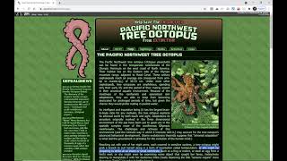 Northwest Pacific Tree Octopus