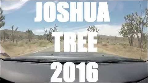 Joshua Tree 2016
