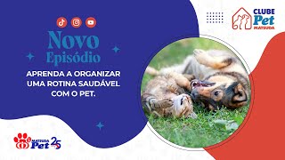 Aprenda a organizar uma rotina saudável com o pet | Clube Pet