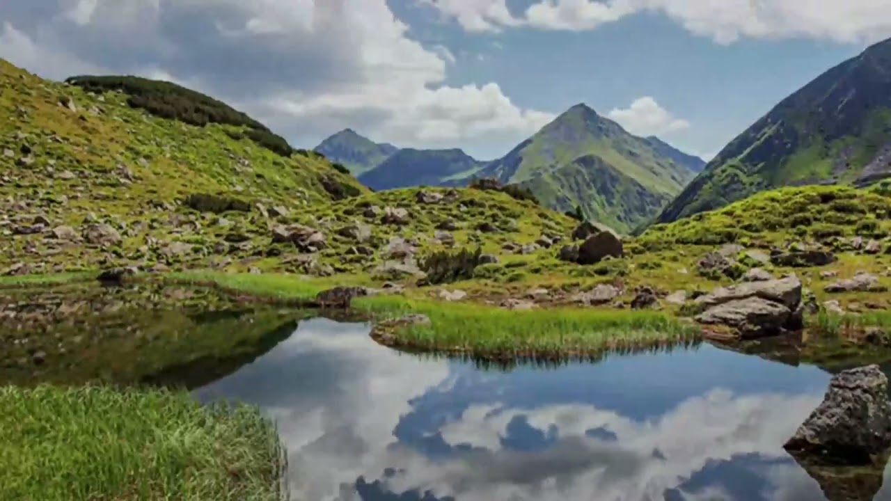 አዲስ_ሙሓዶራ  በሸይኽ ዓብዱልሐሚድ ያሲን አለ‐ለተሚይ ሃፊዞሁሏህ የወጣቶች ሚና በኢስላም» በሚል ርዕስ የቀረበ