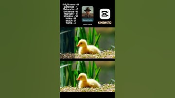 Cinematic Filter Tutorial | Moody Dark Colour Grading Cinematic #youtubeshorts #shorts