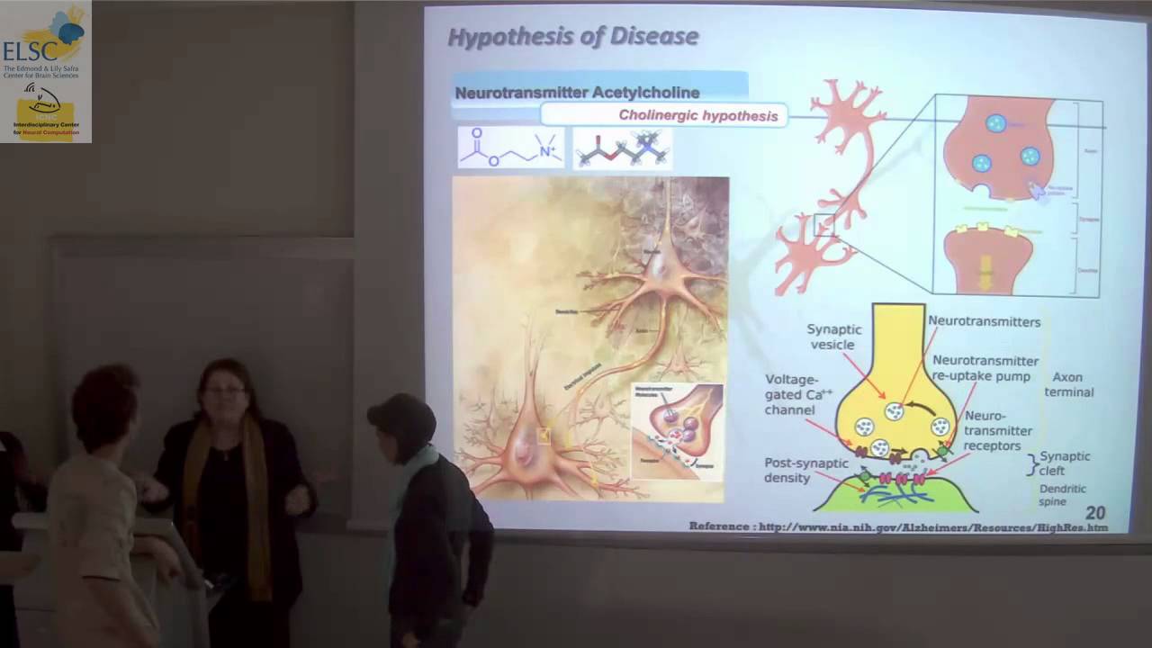 THE BIOLOGICAL BASIS OF NEURODEGENERATIVE DISEAS - week1