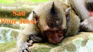 Deep Sad Poor Little Jessie Very Sad Miss Momjessie Tired Request Groom From Pe Till Sleep