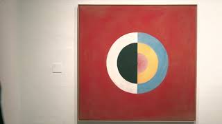 Doc Spot Beyond The Visible