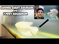 Giant Gourami | Adding Giant Gourami to 7 Feet Aquarium | Sharks feeding video | 7 Feet Aquarium