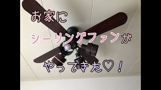 【楽天】購入品紹介♡！我が家にシーリングファンがやってきた！！！Ceiling fan light came at home.