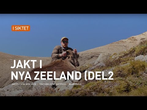 Video: April i Nya Zeeland: Väder- och evenemangsguide