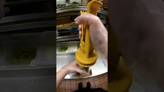 Expert Vs Beginner Big Mac