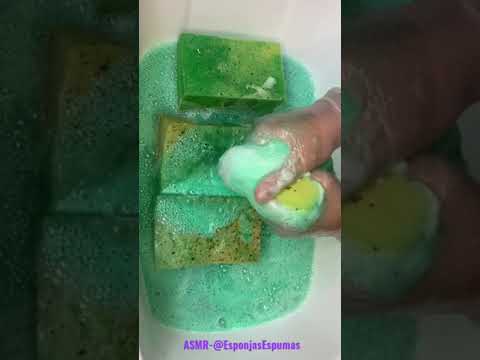 Video: Porer i svamper?