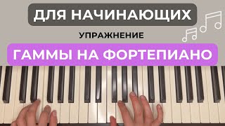 Гамма До Мажор на фортепиано l Как играть гамму l Упражнение на фортепиано