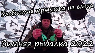 Рыбалка зимой. Рабочая мормышка на ельца.  Рыбы кишат под льдом.