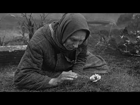 Sivyj Yar - Горе | Grief (Official Video)