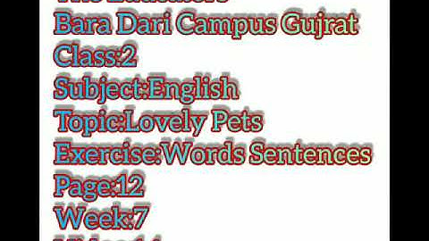 Class2/English/Topic Lovely Pets/Word Sentences/Page#12/week#7/video#14