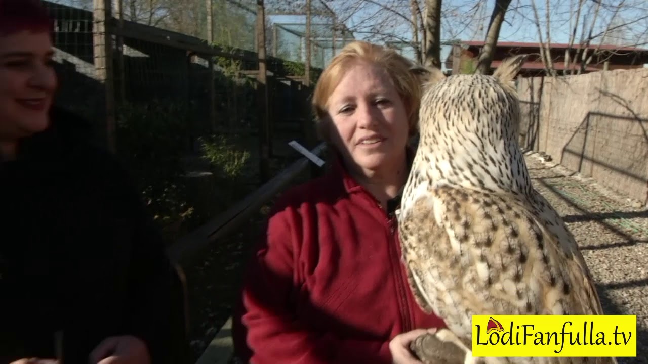 Hanimal Lecter -  Il Regno dei Rapaci - Gessate - Milano