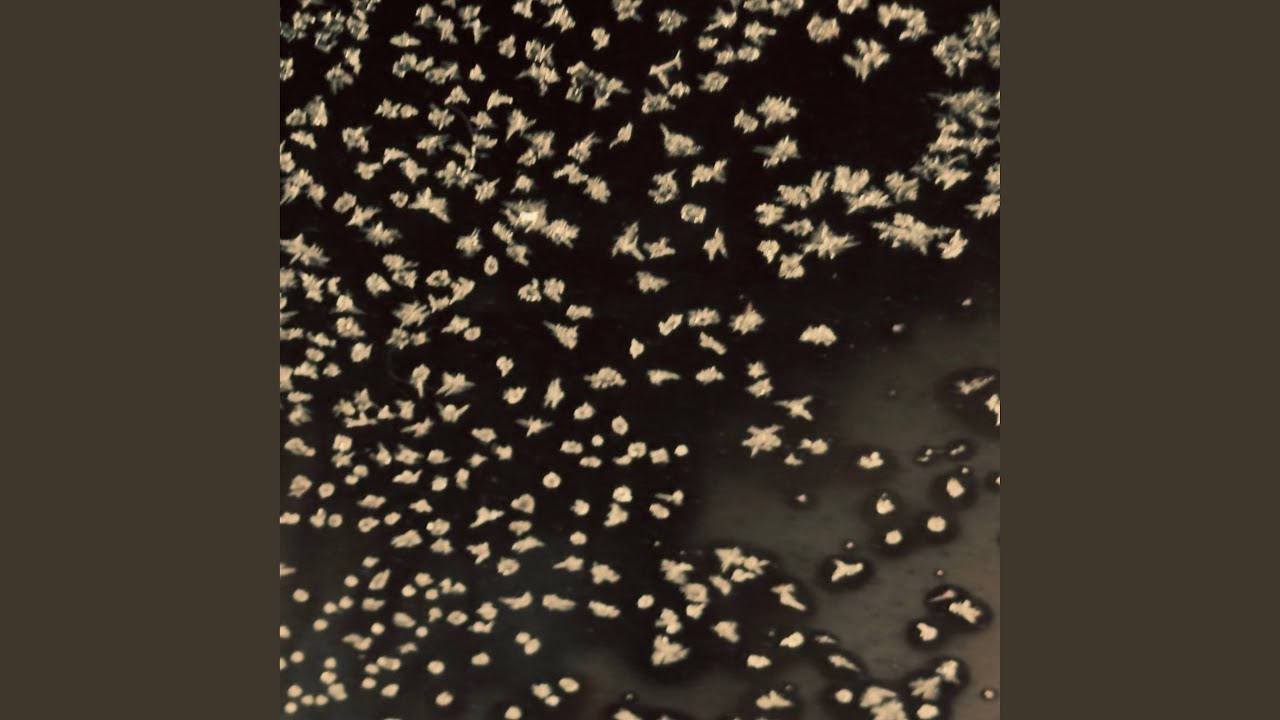 Последствия