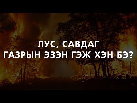 Видео: Завсрын халууралт гэж хэн бэ?