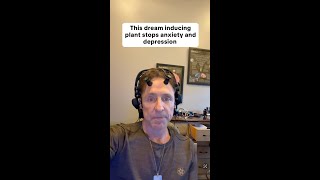 Interested in how mind-expanding compounds affect the brain?