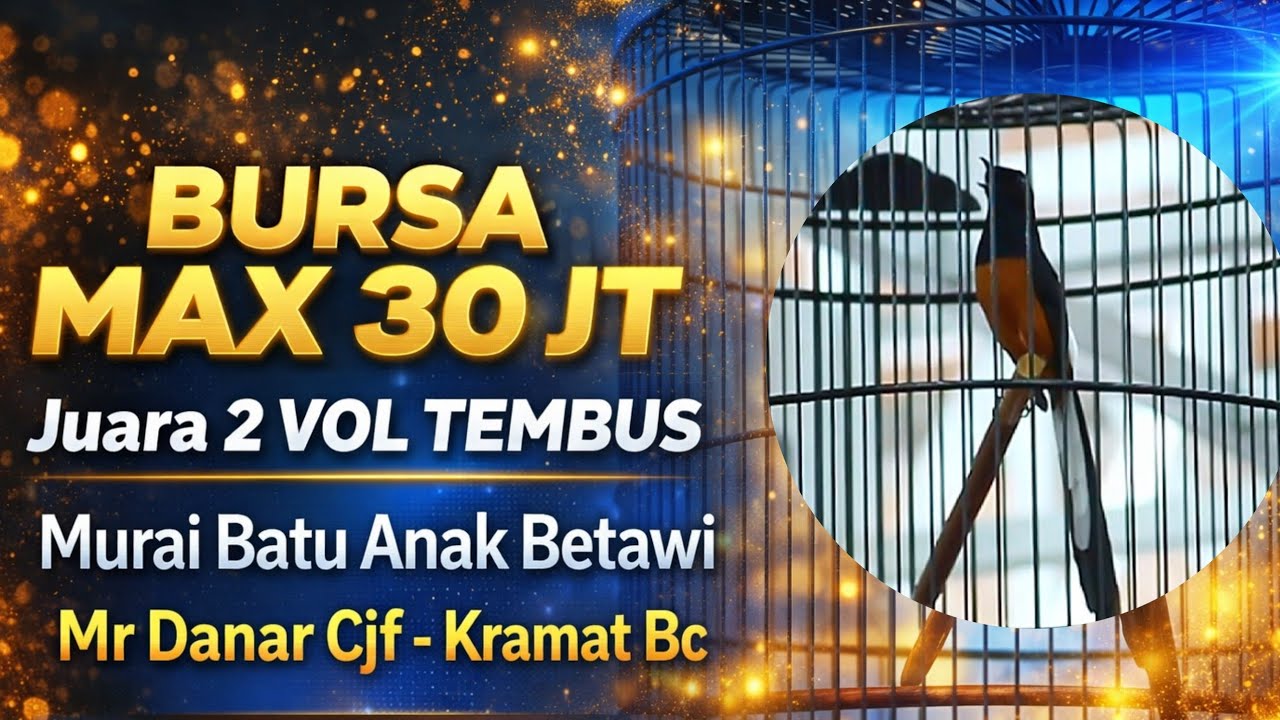 MB BURSA MAX 30 JUTA ‼️ JUARA 2 MURAI BATU ANAK BETAWI EVENT BUKBER BERSAMA JANGKAR UTARA