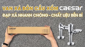 Bộ xả đạp Caesar BF525 dành cho bồn cầu xổm thích hợp nhiều công trình | Nội thất HITA