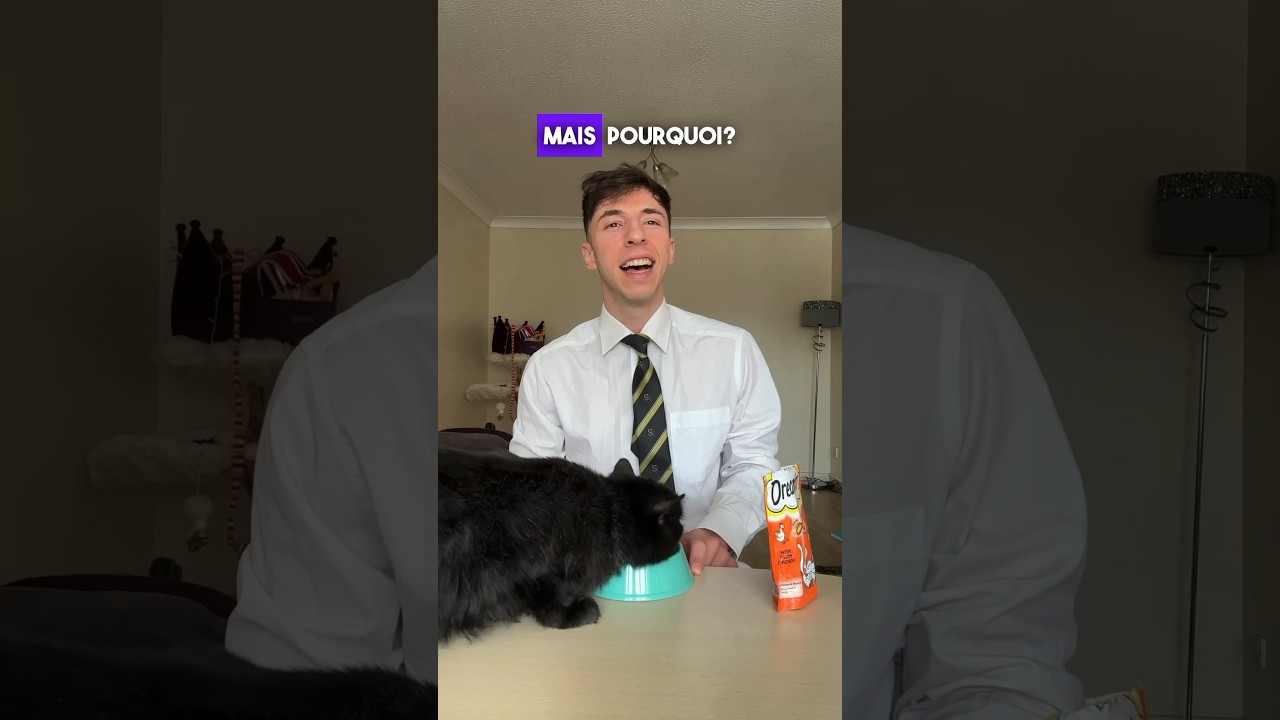 Когда ученик спорит с учителем… 