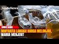 Minyakita Langka! Harga Melonjak, Warga Menjerit | Sindo Today | 27/04