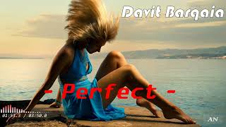 Davit Barqaia - "Perfect" //Original mix//