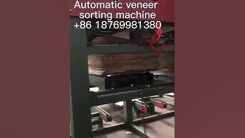 automatic veneer sorting machine