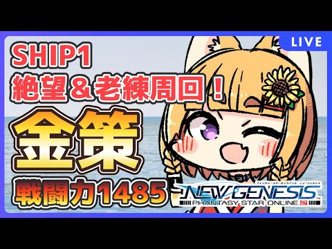 【PSO2/NGS/SHIP1】金策するぞー！絶望＆老練周回！【VTuber】