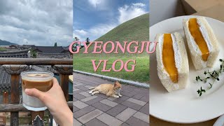 노니구 vlog | 따라와 볼텨💙 2박3일 경주여행 , 망고산도🥭, 경주박물관, 안압지, 한식맛집, 피맥하고, 찰보리빵맛집