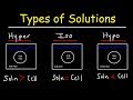 Understanding Cell Behavior in Different Salt Water Solutions