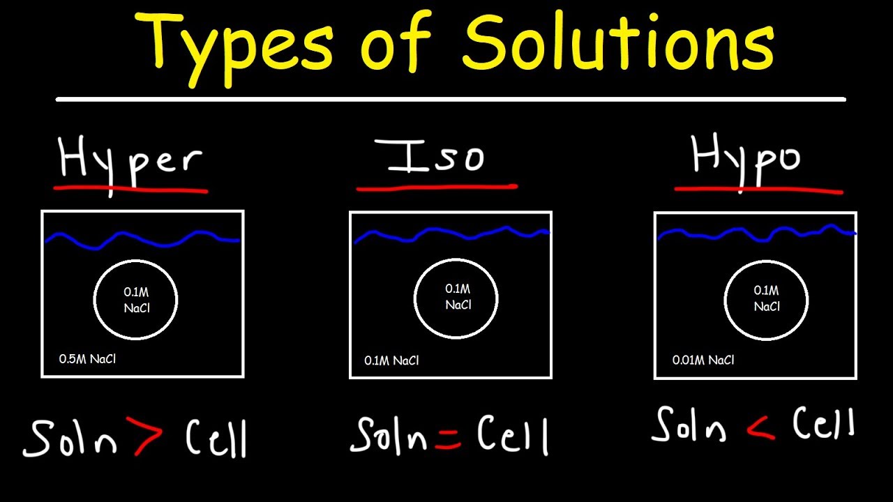 Hypertonic, Hypotonic, and Isotonic Solutions - YouTube