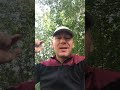Не препятствуй полицейским!!! #дагестан #дпс #махачкала #shorts