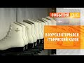 В Курске открылся Губернский каток