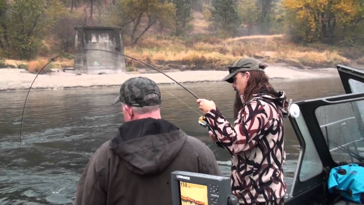 Clearwater River Guided Steelhead Fishing YouTube