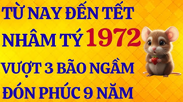 Tử Vi Nhâm Tý 1972:  SAU RẰM THÁNG 10 – Đại Vận Rực Rỡ, Vượt 3 Bẫy Ngầm Mở Phúc 9 Năm.
