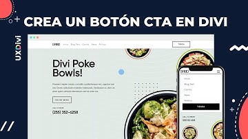 TUTORIAL DIVI: Crear un BOTÓN de llamado a la acción ⭐ [CTA] en DIVI 🔥 + SNIPPET CSS