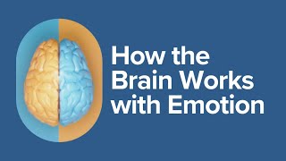 How the Brain Works with Emotion