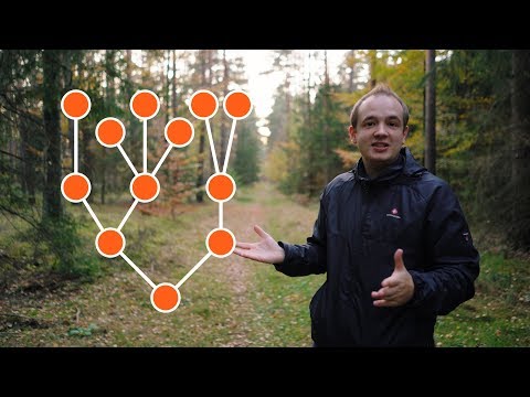 Video: Was haben alle Bäume gemeinsam?
