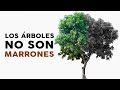 Los árboles NO son marrones ( Y otras cosas que no sabías del color)