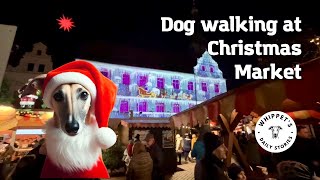 Cozy Christmas Market Dog Walk 🎄🐾 by One Dog Show 87 views 4 months ago 2 minutes, 40 seconds